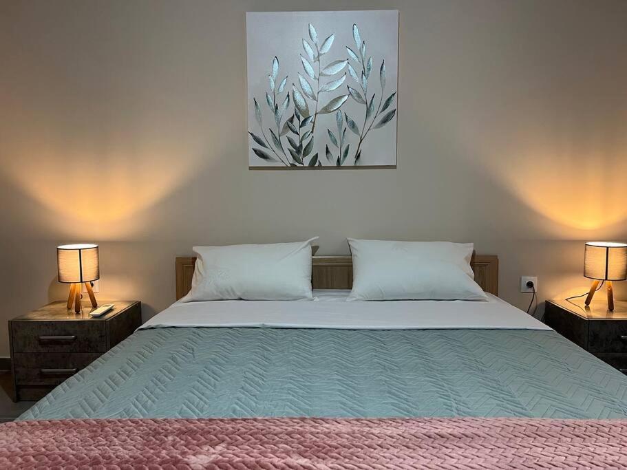Spacious And Beautiful House ピレウス エクステリア 写真